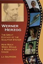 Watch Die gro�e Ekstase des Bildschnitzers Steiner Movie4k