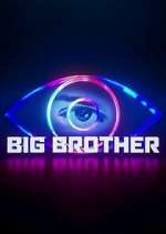 big brother season 1 episode 24 tv poster