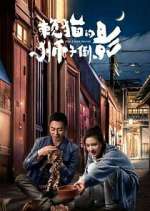 Watch The Lion's Secret Movie4k