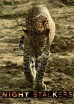 Watch Night Stalkers Movie4k