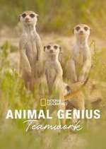 Watch Animal Genius Movie4k