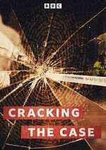 Watch Cracking the Case Movie4k