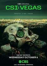 Watch CSI: Vegas Movie4k