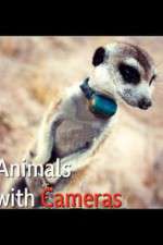 Watch Animals with Cameras Movie4k