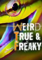 Watch Weird, True & Freaky Movie4k