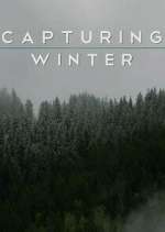 Watch Capturing Winter Movie4k