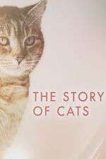 Watch The Story of Cats Movie4k