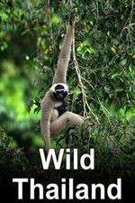 Watch Wild Thailand Movie4k