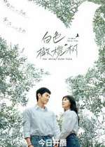 Watch The White Olive Tree Movie4k