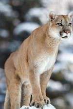 Watch Race of Life Movie4k