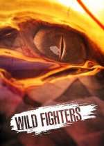 Watch Wild Fighters Movie4k