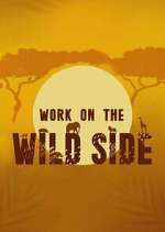 Watch Work on the Wild Side Movie4k