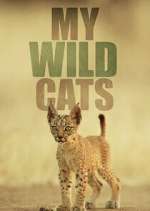Watch My Wild Cats Movie4k