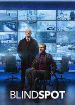 Watch Blindspot Movie4k