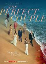 Watch The Perfect Couple Movie4k