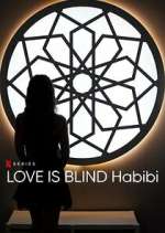Watch Love is Blind Habibi Movie4k