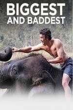 Watch Biggest and Baddest Movie4k