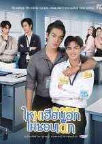 Watch My Stubborn Movie4k