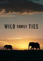 Watch Wild Family Ties Movie4k