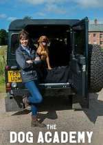 Watch Bad Dog Academy Movie4k