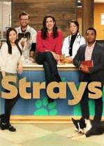 Watch Strays Movie4k