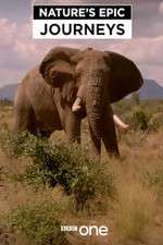 Watch Nature's Epic Journeys Movie4k