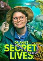 Watch Dr Ann\'s Secret Lives Movie4k